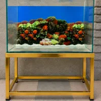 آکواریوم شیشه خم ده میل