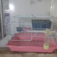 قفس پرنده