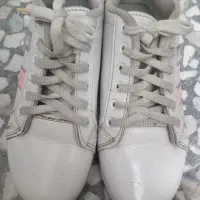 کفش|کیف، کفش، کمربند|دورود, |دیوار