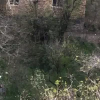 محله زشک ۳۰۰ متر زمین قابل ساخت اقساط