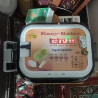 حرفه ای معاوضه با شاه طوطی، راهب یا مرغ لاری