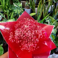 دسته گل|گل و گیاه طبیعی|اصفهان, شمس آباد|دیوار
