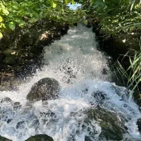 ابنوردی تنگ بلبرم