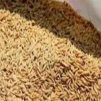 چلتیک چشمه بلقیس چرام