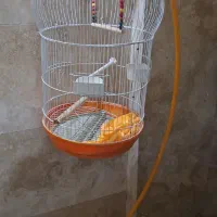 لوازم حیواتات