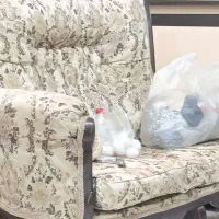 مبل ترو تمیز