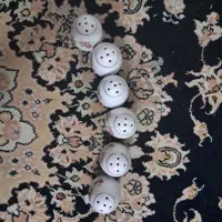 چینی گل سرخی شانهای و میوه دان