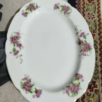 دیس گلسرخ ژاپنی