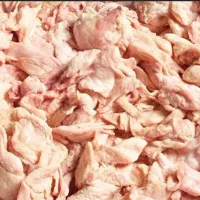 پوست وگردن واسکلت مرغ بوقلمون