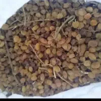 کشمش  تیزاب درشت خشک 4تا گونی یکجا ب فروش میرسه