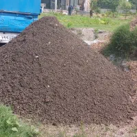 کود گوسفندی