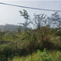 فروش-زمین-مسکونی-کتشال-بالا