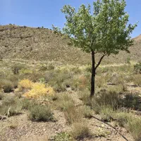 زمین ۷ باغ