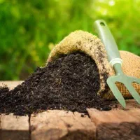کود ارگانیک اصل کف قیمت