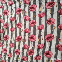 روتختی زیبا ونو