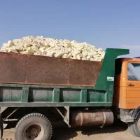خاور اجر سه گل وگری کوار انواع ماسه
