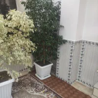 فروش گل