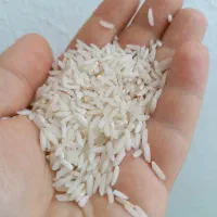 برنج هاشمی محلی