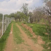 50 متر جنوبی/عظیمیه