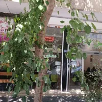 تجاری ششم نیروهوایی