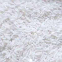 فروش برنج هاشمی درجه یک استانه اشرفیه
