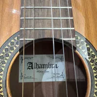 گیتار|گیتار، بیس، امپلیفایر|تهران, قیطریه|دیوار