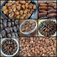 پخش انواع خرما مخصوص ماه مبارک