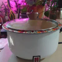 آرام پز بزرگ