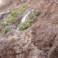 زمین-کشاورزی