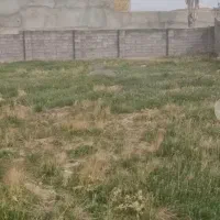 زمین-سند-دار-آبشینه-طرح-هادی
