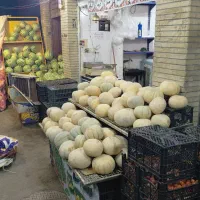 شاگرد میوه فروش میخوام وارد باشه سرو زبون دار