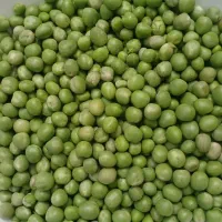 نخود سبز لوبیاسبز .سبزی