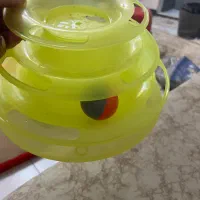 وسایل گربه و سگ