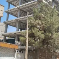 نیرو الماتوربند