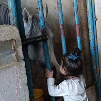 نریان عرب دوسر ۷ ساله