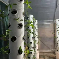 فروش دستگاه هیدروپونیک