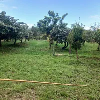 علفتراشی با دستگاه