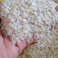 بذر ،تخم ضیغمی