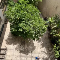 اجاره خانه ویلایی در میدان قیام