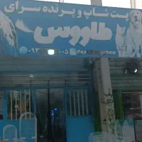 پرنده سرای طاووس