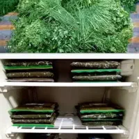 تنها نمایندگی فروش سبزی رامهرمز خوزستان در اصفهان
