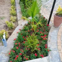 خدمات تخصصی باغبانی و کاشت گل و فضای سبز