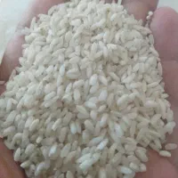 برنج عنبربومحلی