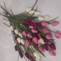 دوازده شاخه گل لاله درحدنو
