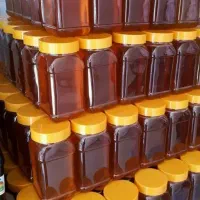 عسل گون به قیمت عمده