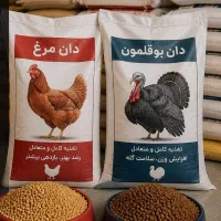 راهنمای دان بوقلمون در شیراز