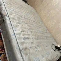 تشک مارک رویای