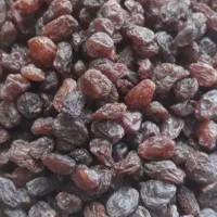 فروش و خرید انواع خشکبار عسل برنج ایرانی پسته گردو