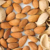 خریدار بادام به قیمت تجاری