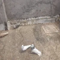 پنج‌عددکفتر